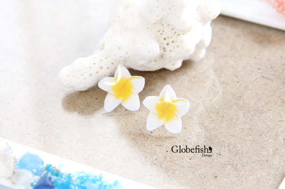 【Globefish】花のピアス/プルメリア 1枚目の画像