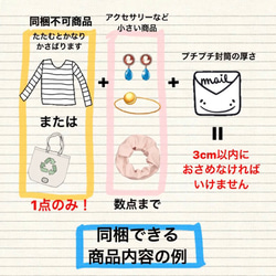 追加送料（オプションで普通・書留郵便を選択してください！） 2枚目の画像