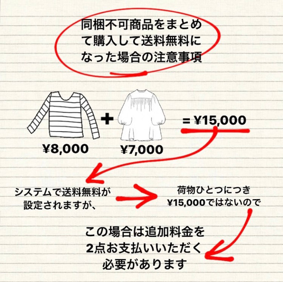 追加送料（オプションで普通・書留郵便を選択してください！） 4枚目の画像