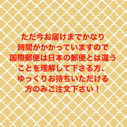 10/13更新：発送&配送について<必ずお読み下さい> 3枚目の画像