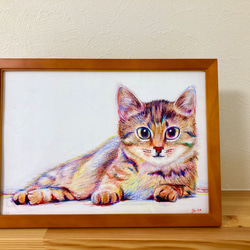 色鉛筆画 A4.猫 クリスマス6 色鉛筆画 A4.猫 クリスマス6 美術品・アンティーク・コレクション