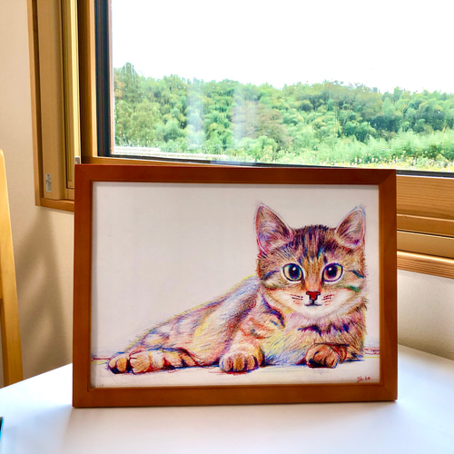 猫の鉛筆画 原画 額付き 絵画 solaris 通販 3106203｜Creema