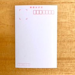 選べるポストカード ⭐︎ 暑中見舞い・残暑見舞いハガキ 3枚目の画像