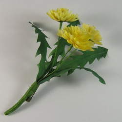 手染めの布花のタンポポ (蒲公英)のコサージュ 2枚目の画像
