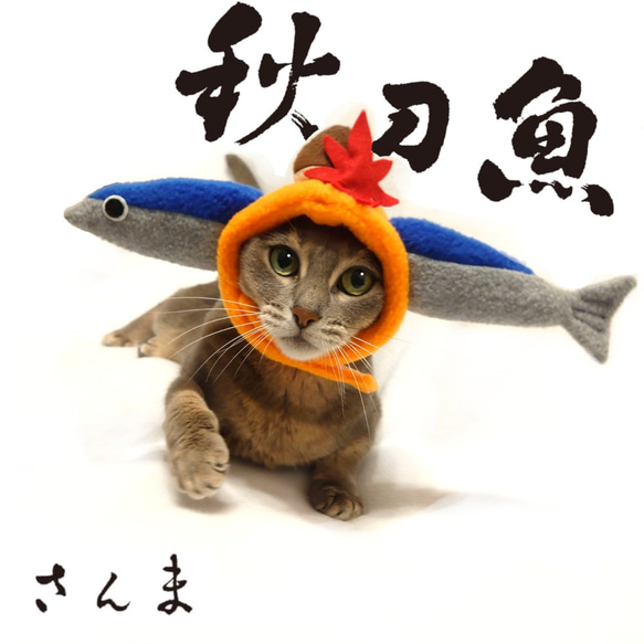 秋刀魚（サンマ）のかぶりもの（帽子） 3枚目の画像