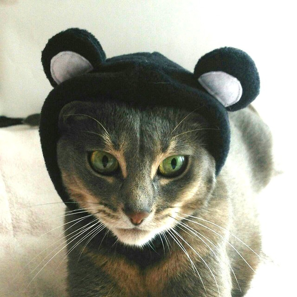 黒くまのかぶりもの（帽子）【S/M/L】 2枚目の画像