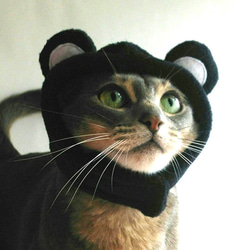 黒くまのかぶりもの（帽子）【S/M/L】 3枚目の画像