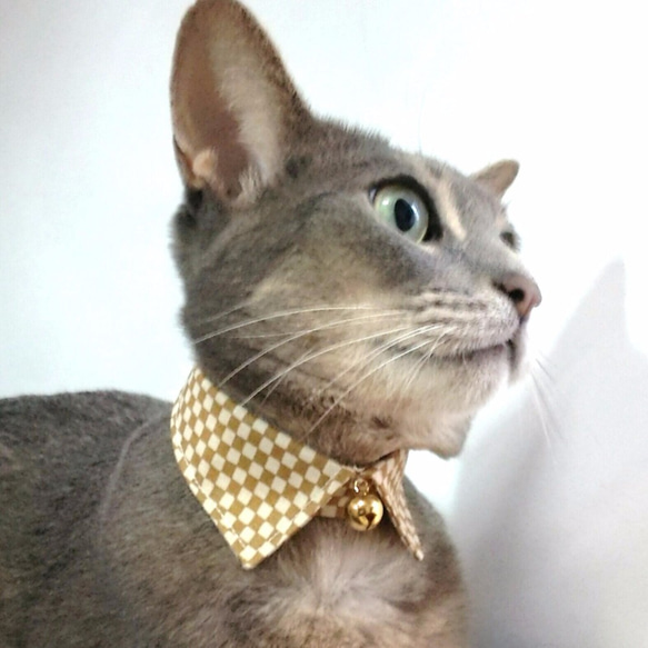 市松模様（からし）襟つきカラー（首輪）（鈴）【S/M/L】 2枚目の画像