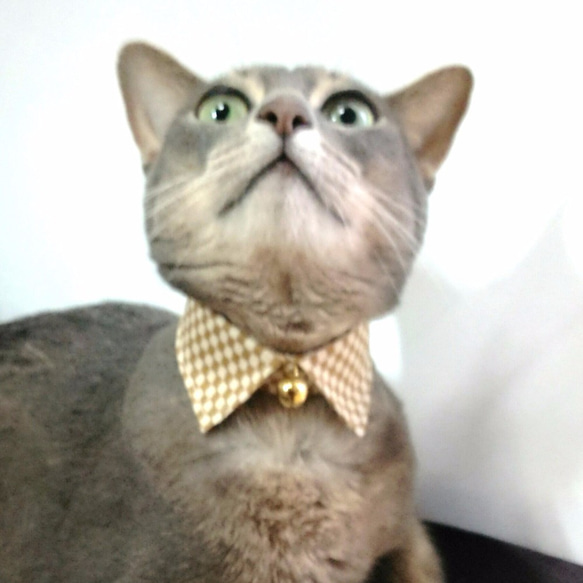 市松模様（からし）襟つきカラー（首輪）（鈴）【S/M/L】 3枚目の画像