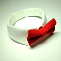 白襟・赤蝶ネクタイ　襟つきカラー（首輪）【S/M/L】 2枚目の画像
