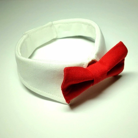 白襟・赤蝶ネクタイ　襟つきカラー（首輪）【S/M/L】 2枚目の画像