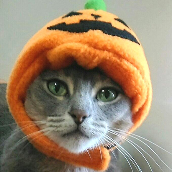 ハロウィンかぼちゃのかぶりもの（帽子）【S/M/L】 3枚目の画像