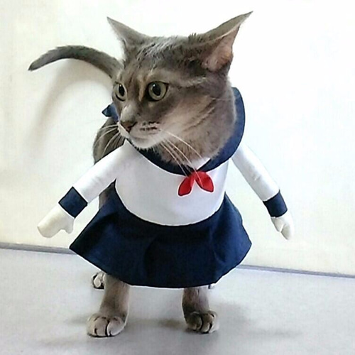 犬猫用コスプレ セーラー服 二足歩行 学生服 仮装 ペット服