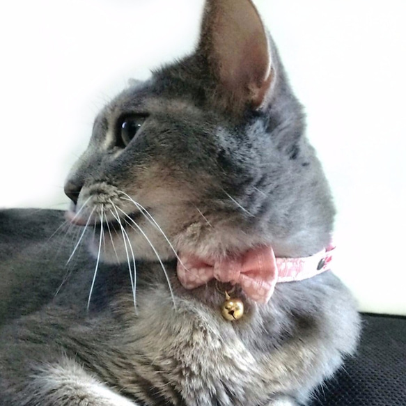 猫専用首輪　10mm幅　花柄（ピンク）リボン付 2枚目の画像