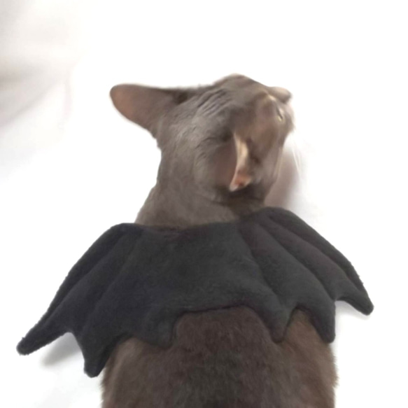 犬猫用アクセサリー　悪魔の羽 4枚目の画像