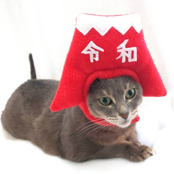 紅富士頭飾（帽子）【新時代】 第4張的照片