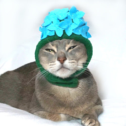 犬猫用コスプレ　紫陽花のかぶりもの（帽子） 4枚目の画像