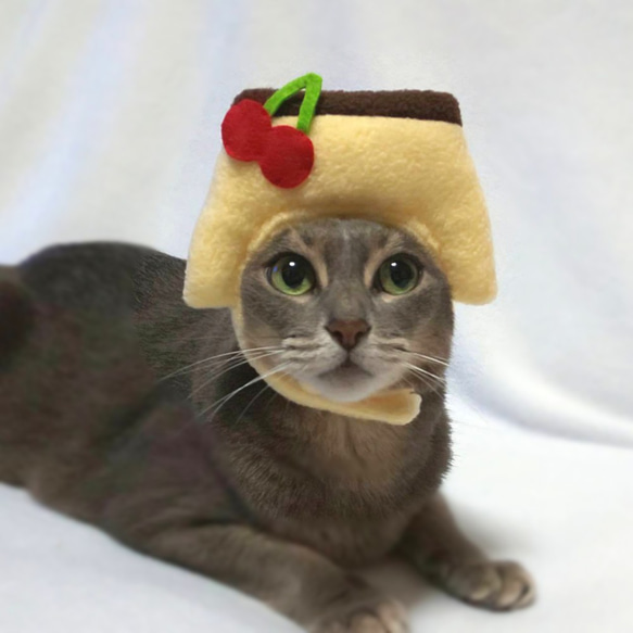 犬猫用コスプレ　プリンのかぶりもの（帽子） 3枚目の画像