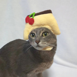 犬猫用コスプレ　プリンのかぶりもの（帽子） 4枚目の画像