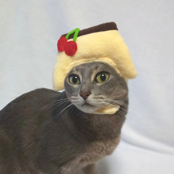 犬猫用コスプレ　プリンのかぶりもの（帽子） 4枚目の画像