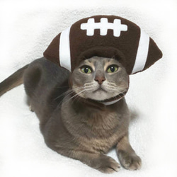 狗/貓角色扮演橄欖球球頭飾（帽子） 第4張的照片