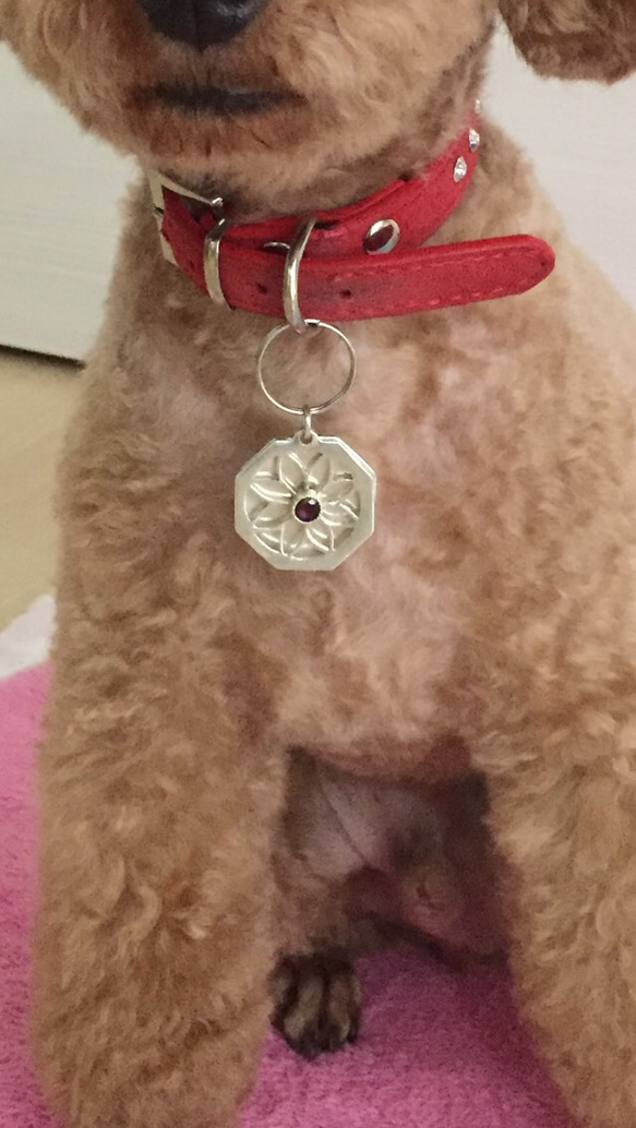 【受注製作】オリジナル犬・猫ちゃん用迷子札（ネームタグ） 【受注製作】オリジナル犬・猫ちゃん用迷子札（ネームタグ） EIM1248189049(9490円)