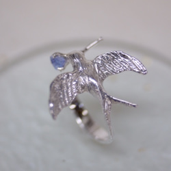 A happy swallow ring　〜幸運の使者〜 4枚目の画像