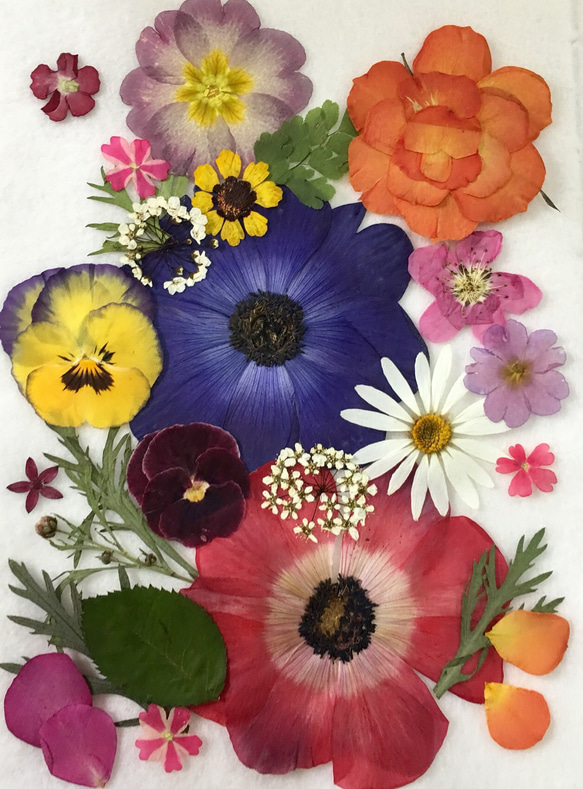 押し花素材 売り切れました。 樹脂・レジン kuuka 通販｜Creema 