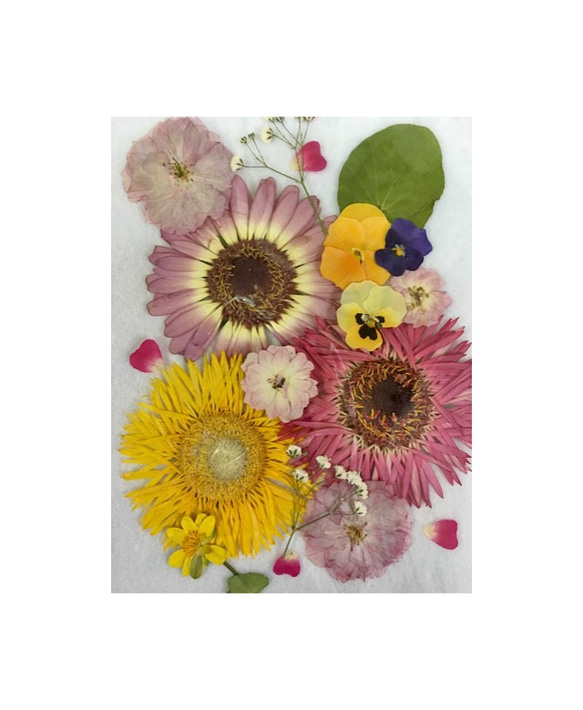 押し花 売り切れました。 その他素材 kuuka 通販｜Creema(クリーマ 