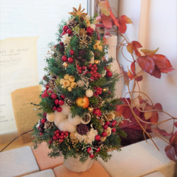 クリスマスツリー　ヒムロスギとたくさんの実　M 1枚目の画像