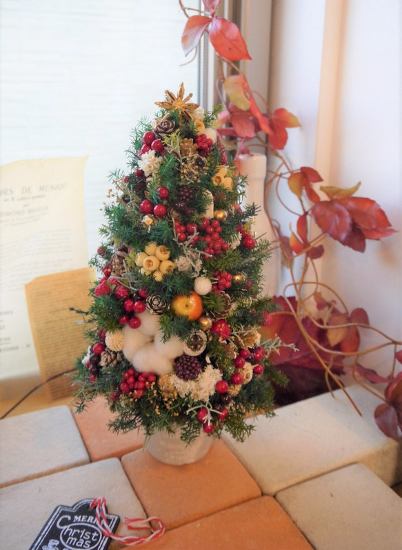 クリスマスツリー　ヒムロスギとたくさんの実　M 1枚目の画像
