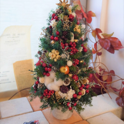 クリスマスツリー　ヒムロスギとたくさんの実　M 5枚目の画像