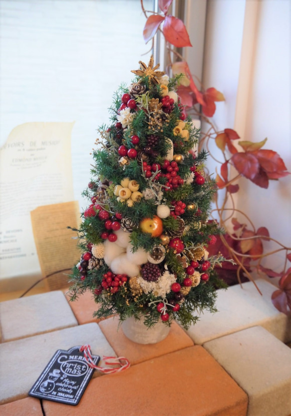 クリスマスツリー　ヒムロスギとたくさんの実　M 5枚目の画像