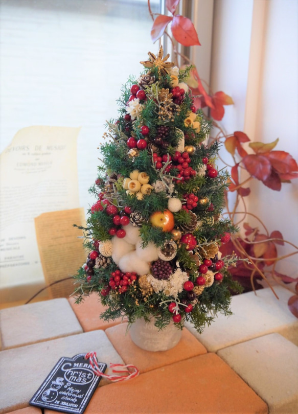 クリスマスツリー　ヒムロスギとたくさんの実　M 6枚目の画像