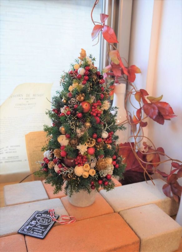 クリスマスツリー　ヒムロスギとたくさんの実　M 2枚目の画像