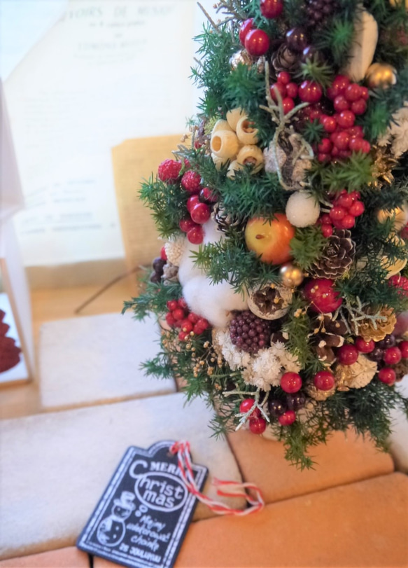 クリスマスツリー　ヒムロスギとたくさんの実　M 3枚目の画像