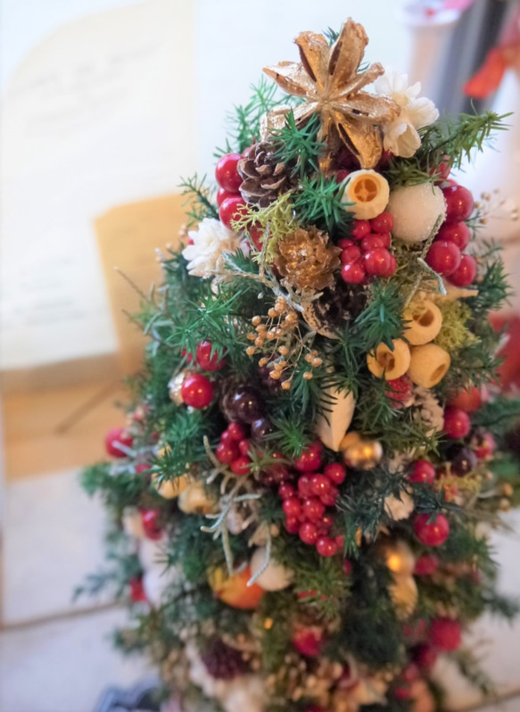 クリスマスツリー　ヒムロスギとたくさんの実　M 4枚目の画像