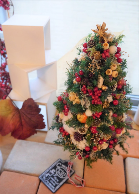 クリスマスツリー　ヒムロスギとたくさんの実　M 7枚目の画像