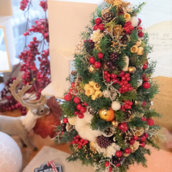 クリスマスツリー　ヒムロスギとたくさんの実　M 8枚目の画像