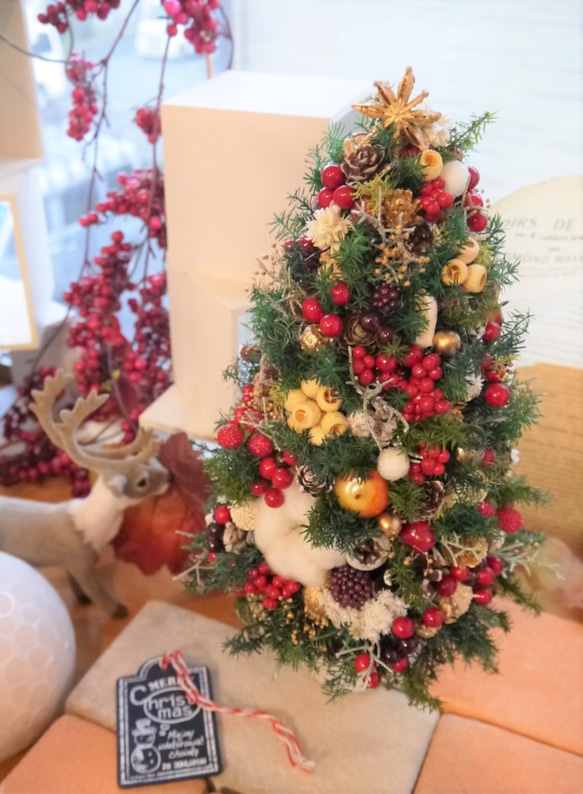 クリスマスツリー　ヒムロスギとたくさんの実　M 8枚目の画像