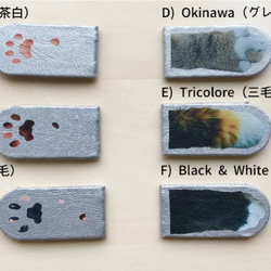 猫手でつかむ！Cat Paw マグネットクリップ 3枚目の画像