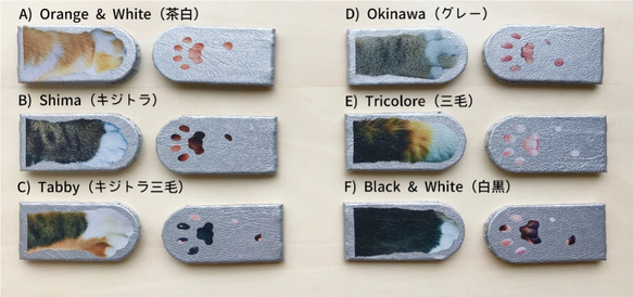 猫手でつかむ！Cat Paw マグネットクリップ 3枚目の画像