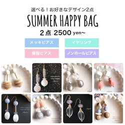 【選べる福袋】SUMMER HAPPY BAG・ピアス・イヤリング・樹脂ピアス・ノンホールピアス 1枚目の画像