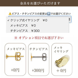 【ラスト1点】ドイツ製インポートカボションとダブルカラーパールのボリュームイヤリング・チタンピアス 5枚目の画像