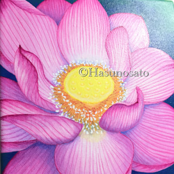 『蓮の花』の原画　POSCAで描いた蓮の花の絵画【送料無料】 4枚目の画像