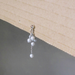 Falling nut earrings（耳環）：Yukigetsu 第5張的照片