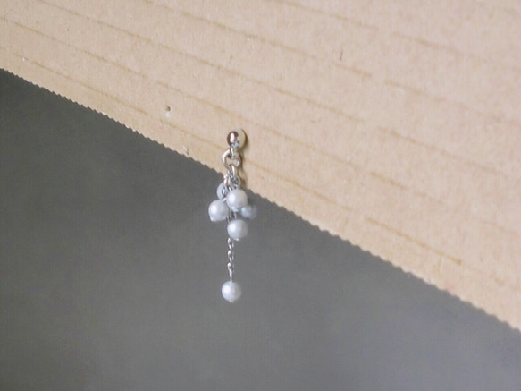 Falling nut earrings（耳環）：Yukigetsu 第5張的照片