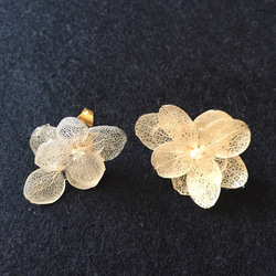 アシンメトリー紫陽花ピアス❁キナリ❁* 1枚目の画像