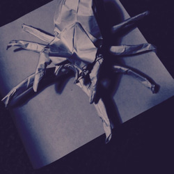 折り紙作品(蜘蛛) 1枚目の画像