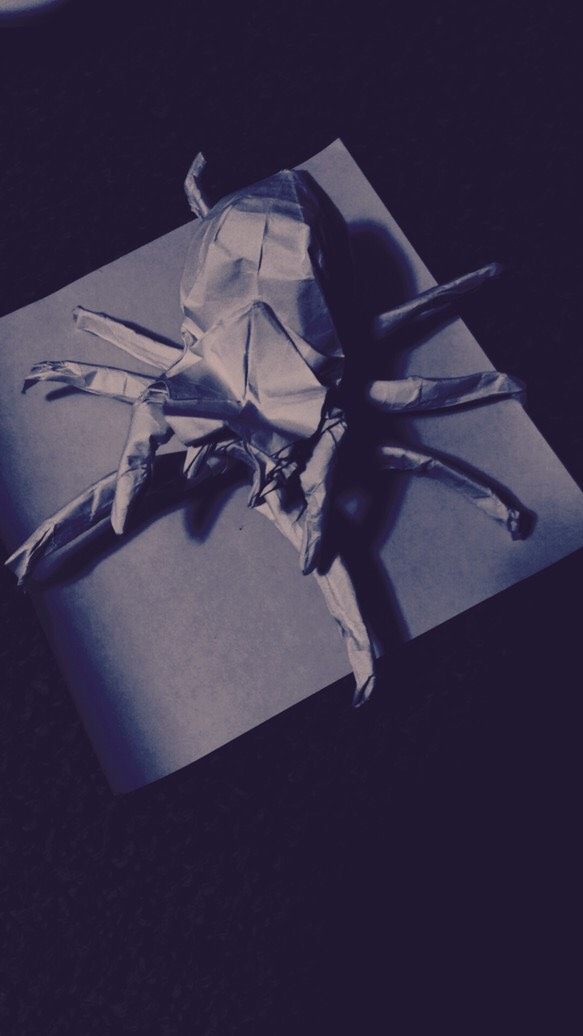 折り紙作品(蜘蛛) 1枚目の画像